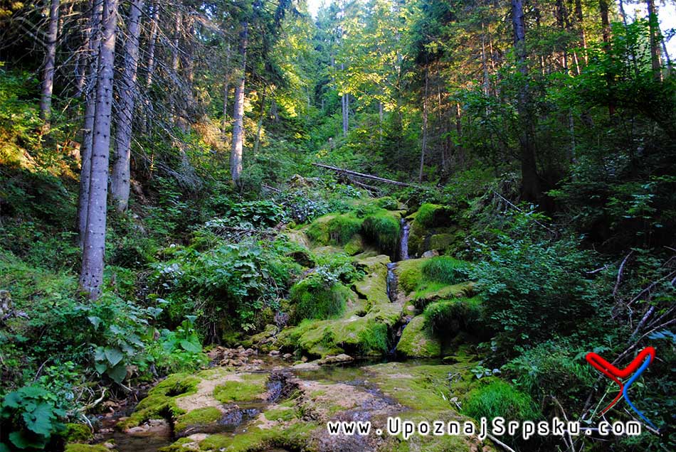 Врело Паљанске Миљацке