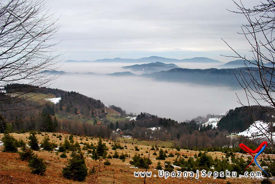 Vučja planina